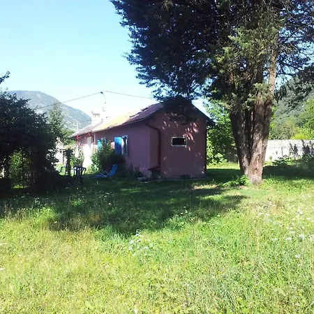 Your Pink House With Blue Shutters