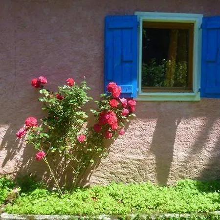 Your Pink House With Blue Shutters Vakantiehuis
