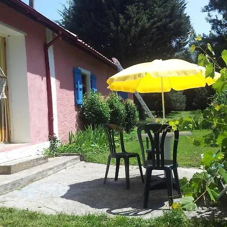 Your Pink House With Blue Shutters