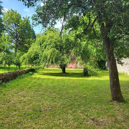 Your Pink House With Blue Shutters Ore