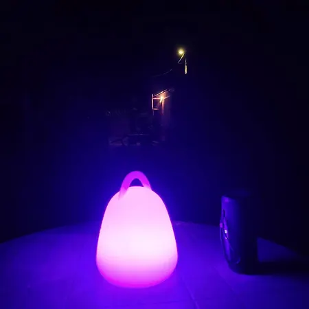 Your Pink House With Blue Shutters