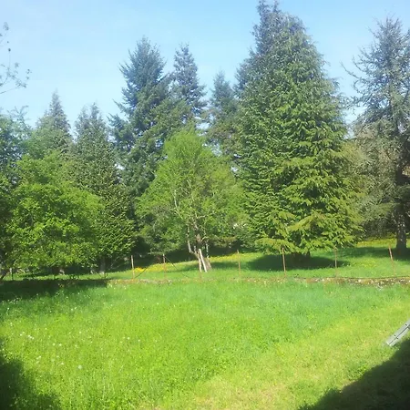 Nyaraló Your Pink House With Blue Shutters *