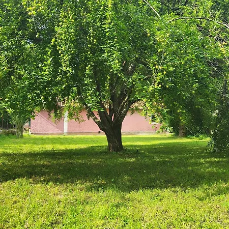 Your Pink House With Blue Shutters Nyaraló *