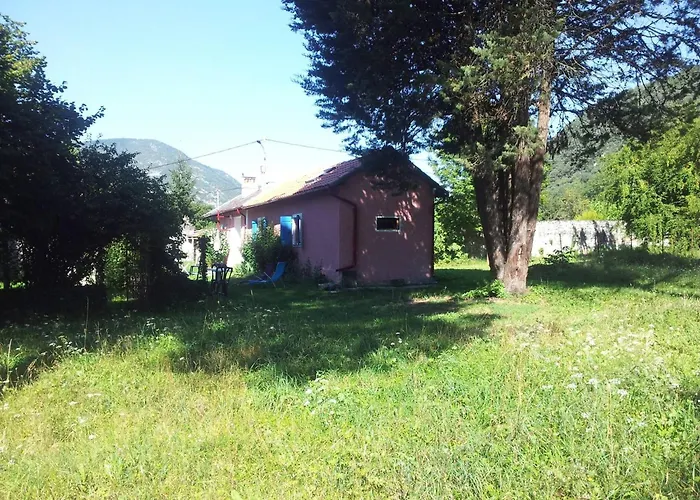 Your Pink House With Blue Shutters
