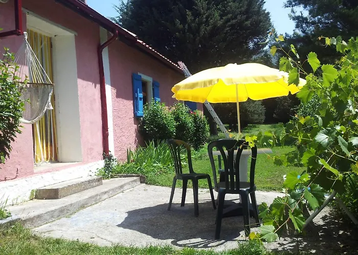 Your Pink House With Blue Shutters