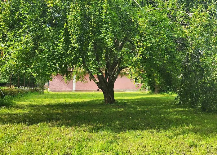 Your Pink House With Blue Shutters Nyaraló *