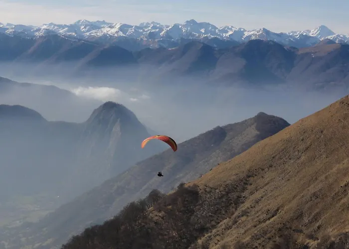 Your Pink House With Blue Shutters *